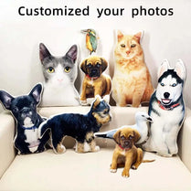 Personalized Pet Plush Pillow